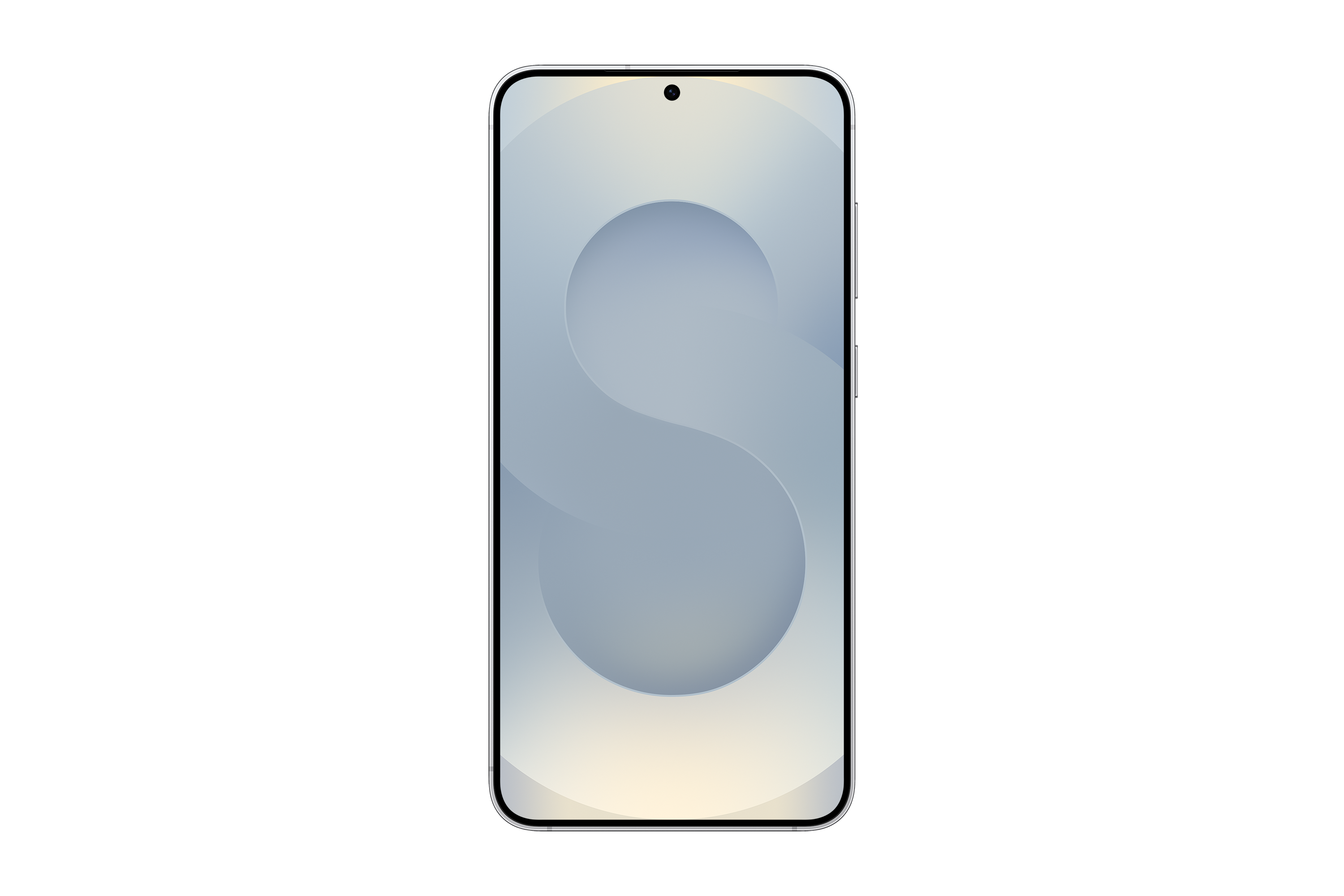 Samsung Galaxy S25+ 256 GB Silver Shadow