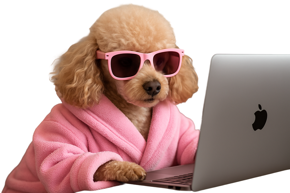 pudlica gleda u laptop