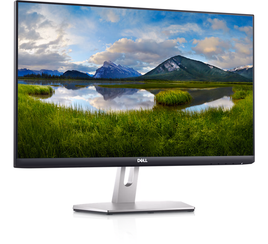 Dell S2421HN / 23.8" FHD 1920x1080 IPS FreeSync monitor